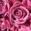 _mcloset